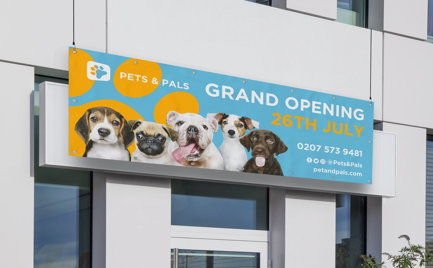 Vinyl Banners