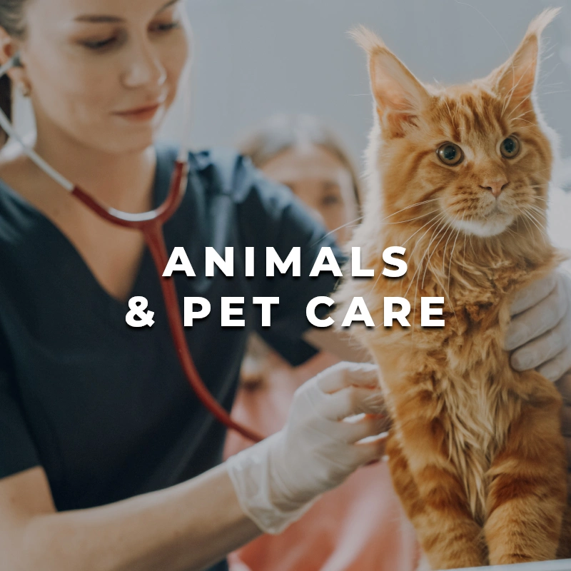 Animals and Pet Care Printing