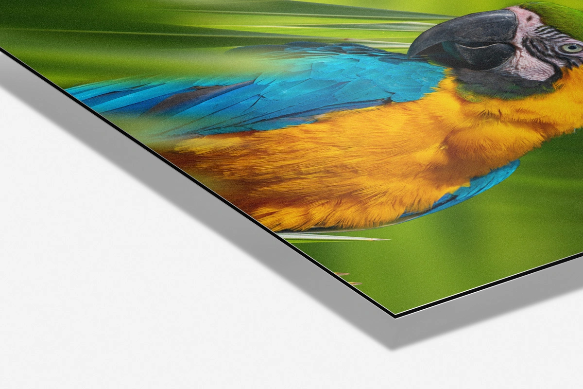 Dibond Boards