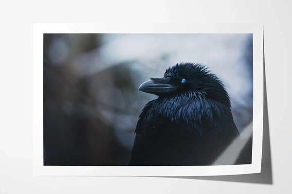  Photo - Gloss - Details - Technology