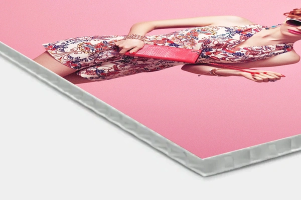  Bubble - Board