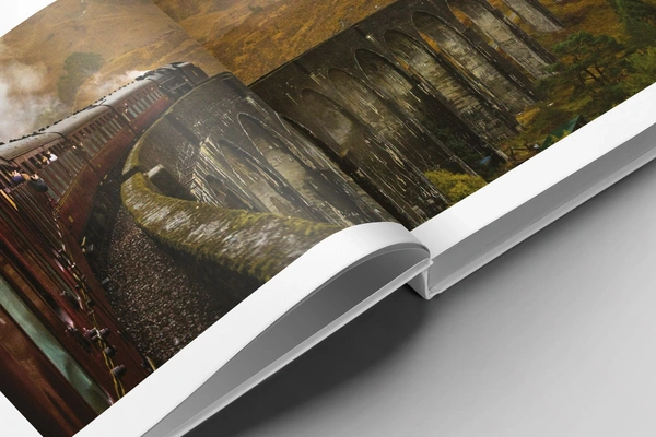  Hard - Case - Books - Closeup