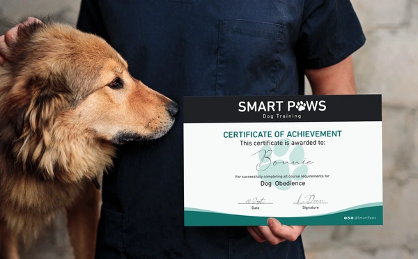  Pet Trainer Certificate