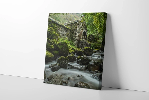  Photo - Canvas - Matte - Stretched