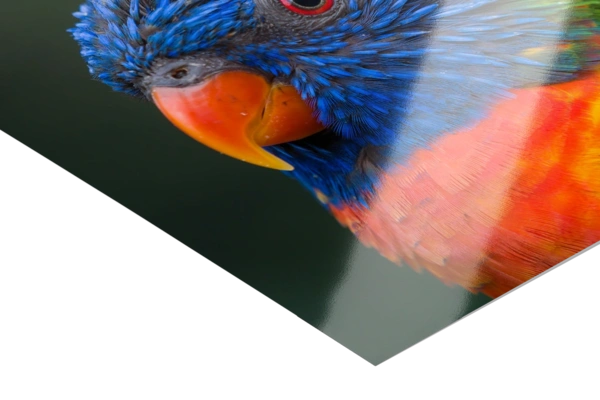 Photo Gloss Detail