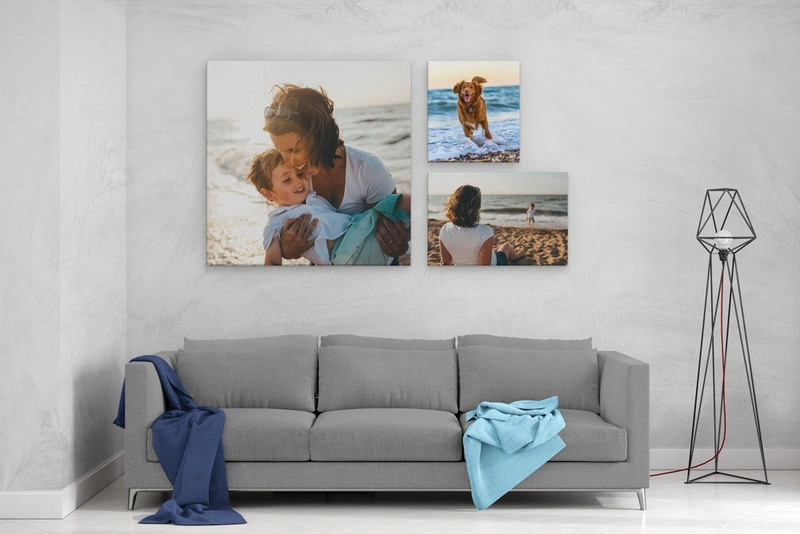  Canvas - Scene