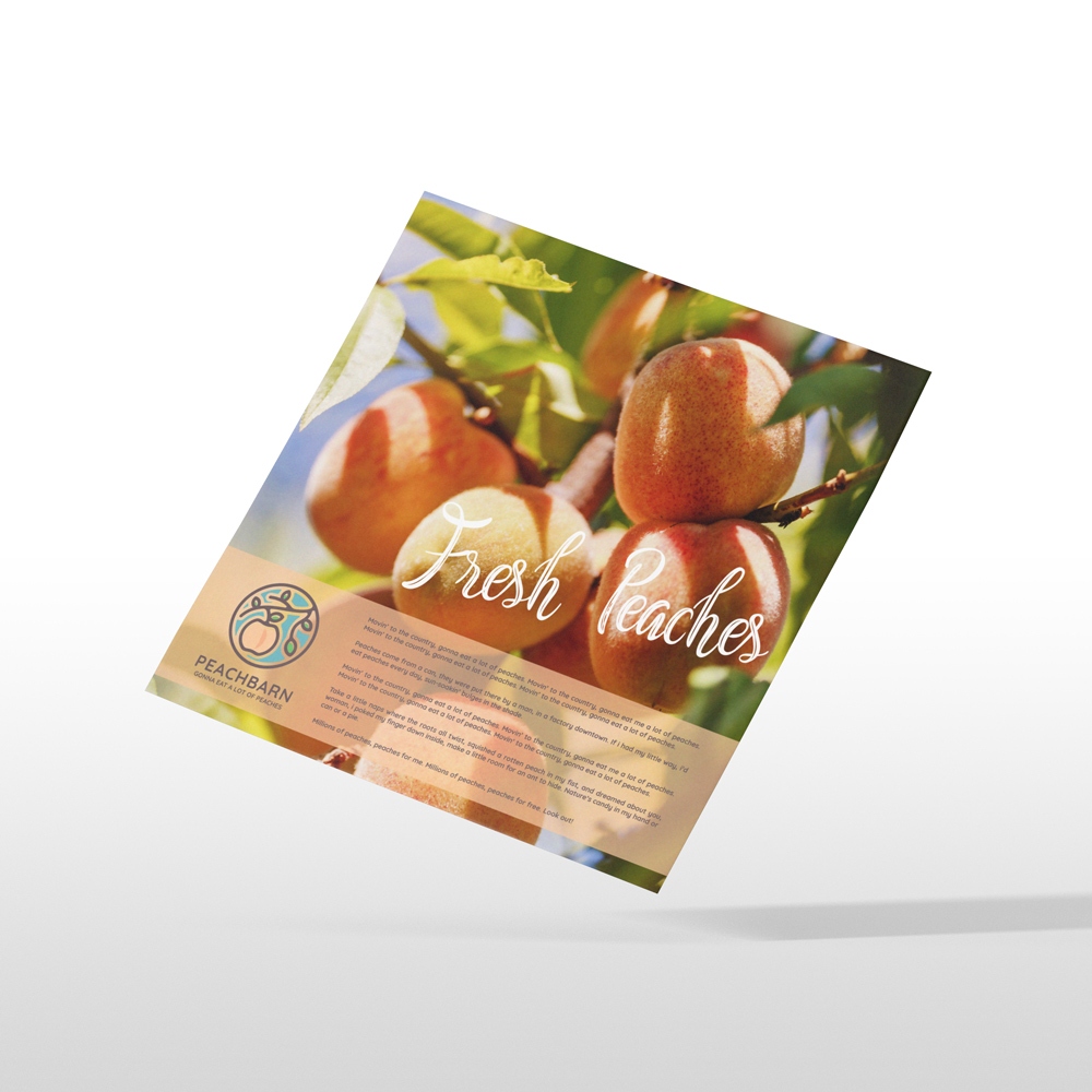 350gsm Soft-Touch Laminated Flyer